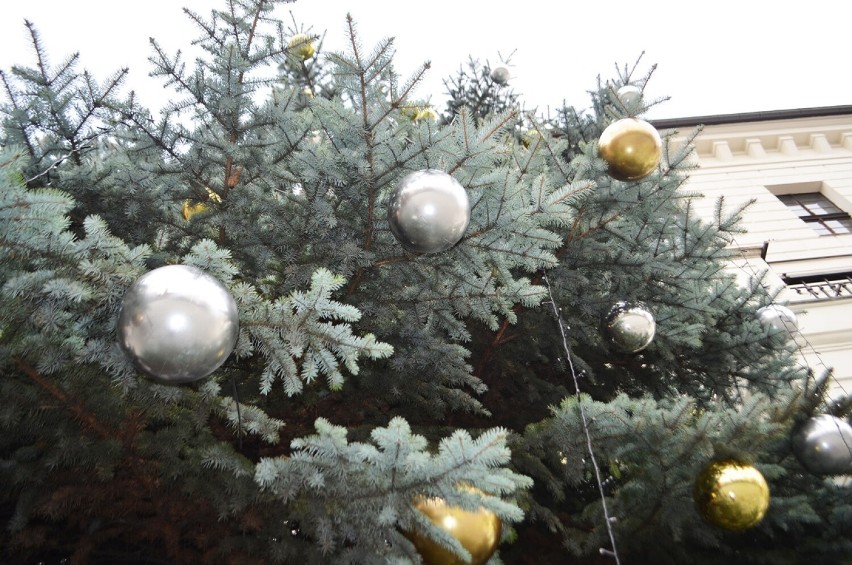 Drzewko będzie ozdobą świątecznych dni