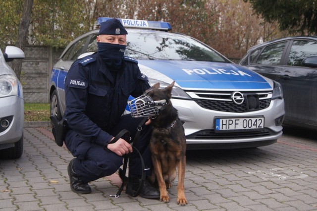 Komisarz Kolor i jego pan. Pies policyjny z KPP w Radomsku to "dynamit na 4 łapach