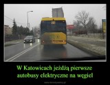 25 najlepszych memów o Katowicach. Najśmieszniejsze żarty ze stolicy województwa śląskiego. Internauci są dla miasta bezlitośni [13.09.2022]