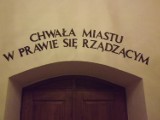 Nadal nie ma GRZEBOWISKA dla zwierząt. Co robić ze zwłokami?