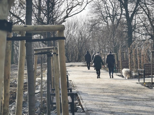 Prace w Parku Glazja w Toruniu powoli dobiegają końca. Zamontowano już większość urządzeń. Teraz nawożona jest nowa ziemia. 
Zmiany w parku usytuowanym między rondem Pokoju Toruńskiego, a ulicami Waryńskiego i Antczaka powinny zakończyć się do końca kwietnia.

Zobacz też:

Zmiany na Kraszewskiego i placu Niepodległości
Kiedy w Toruniu powstanie most tymczasowy?
Przedsiębiorcze matki walczą z ZUS-em

Niemal w całości gotowe są już chodniki i ścieżki. Zamontowany został zestaw do treningu, pojawiły się urządzenia siłowni zewnętrznej. Gotowy jest już plac zabaw dla najmłodszych. Zamontowano elementy małej architektury m.in. ławki, leżaki, kosze na odpady i odchody oraz stojaki rowerowe. W Glazji pojawiły się już stoły do tenisa oraz szachów, montowane będą także budki dla ptaków, domki owadów oraz tablice informacyjne.


Park Glazja zajmuje obszar od ronda przy placu Pokoju Toruńskiego do skrzyżowania ul. Waryńskiego z ul. Antczaka. Zaawansowane są także prace dotyczące zieleni. W parku rozsypywana jest nowa ziemia, posiana zostanie trawa oraz wykonane zostaną nasadzenia krzewów, bylin i drzew. Pojawią się takie gatunki, jak grab pospolity i lipa drobnolistna, bukszpan, lebiodka i dereń biały. Pojawią się nowe układy form roślinnych, a roślinność będzie wzbogacona, szczególnie w piętrze roślinności niskiej (np. byliny, pnącza, trawy ozdobne, żywopłoty formowane i nieformowane).

Prace na terenie ponad 5,5 ha za niespełna 5 mln zł prowadzi firma Hosta Group z Grębocina. Zakończenie robót planowane jest już w kwietniu. Realizacja zadania jest dofinansowania z Programu Operacyjnego Infrastruktura i Środowisko 2014-2020 (65 proc. kosztów, czyli 3 265 467,04 zł).