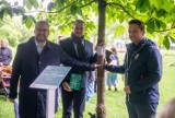 "Korzenie pamięci". W stolicy posadzono kolejne drzewa upamiętniające Powstańców Warszawskich
