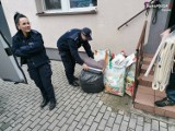 Policja w Chorzowie zaangażowana w pomoc bezdomnym zwierzętom. Apeluje do społeczności o wspólną troskę i wsparcie dla zwierzaków