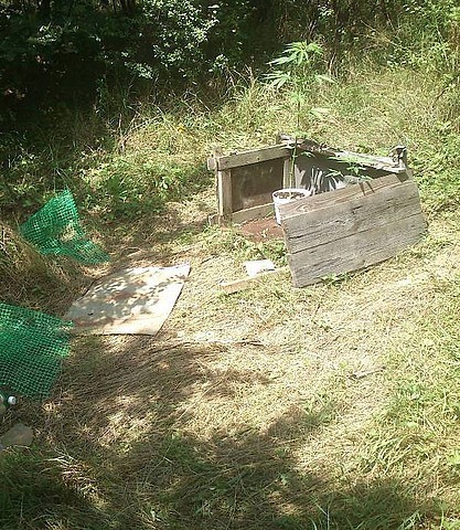 W gminie Niebylec zlikwidowano plantację narkotyków [zdjęcie]