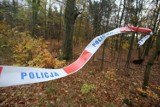 Zwłoki 34-latka znaleziono w lesie w Hadlach Szklarskich. Miał ranę głowy