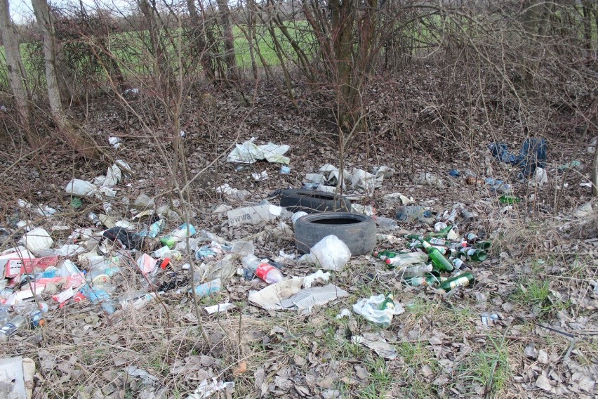 Chełm. Dzikie wysypisko śmieci w okolicy Olenówki (gm....