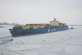 MSC Fortunate zawinął do portu w Gdyni