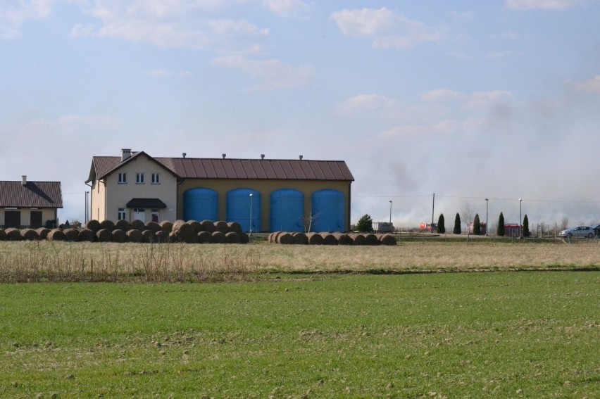 Ogromny pożar traw w Tarnowcu (ZDJĘCIA)