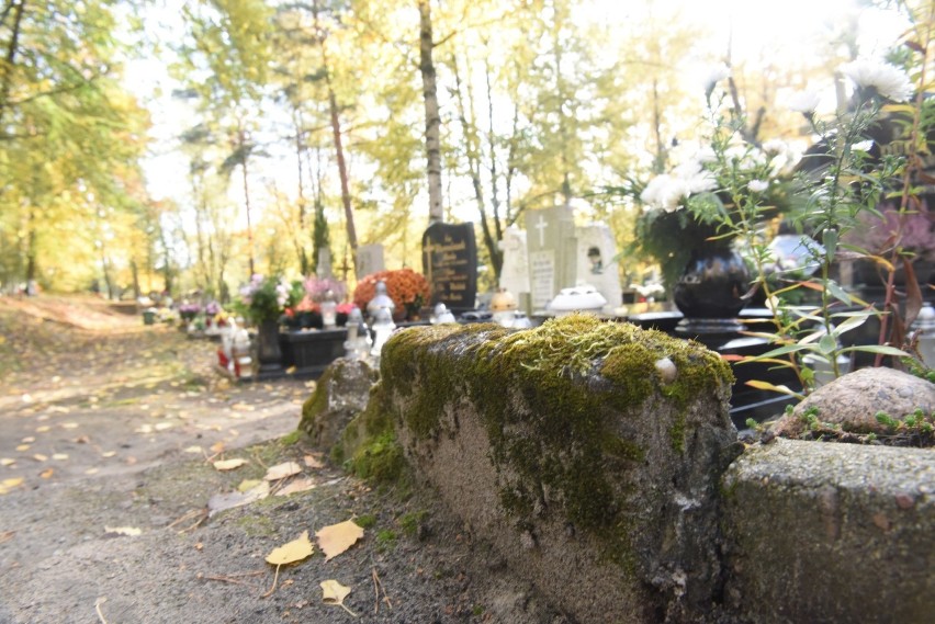 Cmentarz w Zielonej Górze.