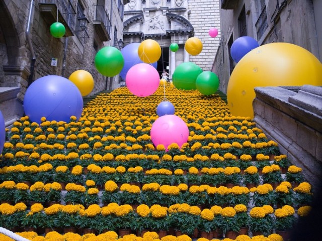 CC BY-SA 2.0

Miasto Girona zlokalizowane w Katalonii zamienia się w krainę kwiatów podczas festiwalu Temps de flors (w 2023 roku potrwa od 13 do 21 maja), co można przetłumaczyć jako „czas kwiatów". Dzielnica Barri Vell usłana jest wtedy kolorowymi płatkami, a spacerowiczom prezentowane są niezwykłe kompozycje kwiatowe – jedną z nich możecie podziwiać na zdjęciu. 

