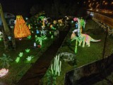 Nowa atrakcja dla dzieci w Krakowie. Dinosaur Garden Glow, czyli wystawa świecących dinozaurów w pobliżu Bonarki