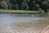 W Pogorii III i Pogorii I w Dąbrowie Góriniczej są bakterie. Nie wolno się kąpać, ale plażowiczów nie brakuje 