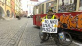 "Jedziemy na miodzie". W obronie pszczół przejechali na rowerach 1000 km [zdjęcia, wideo]