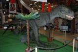 Dinozaury naturalnej wielkości we Wrocławiu (FILMY)