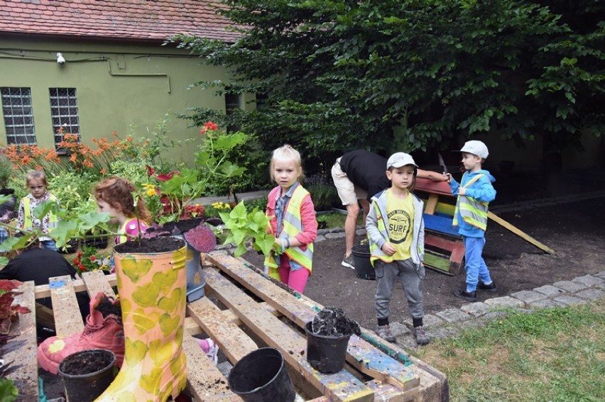 Legnickie przedszkolaki tworzyły mini ogródki w palmiarni [ZDJĘCIA]