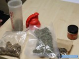 24-letni lubinianin miał w posiadaniu kilkaset porcji marihuany. Twierdzi, że znalazł je w lesie!