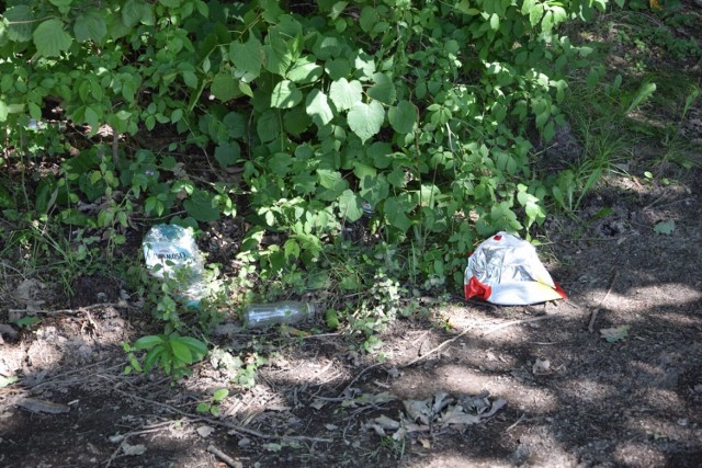 Starostwo Powiatowe w Skierniewicach rozda kosze na śmieci dla sołectw -- może śmieci zamiast do rowu, trafią właśnie tam...