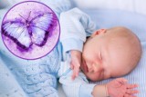 Co oznacza fioletowy motyl przy łóżeczku noworodka w szpitalu? Ten symbol coraz częściej pojawia się na oddziałach położniczych