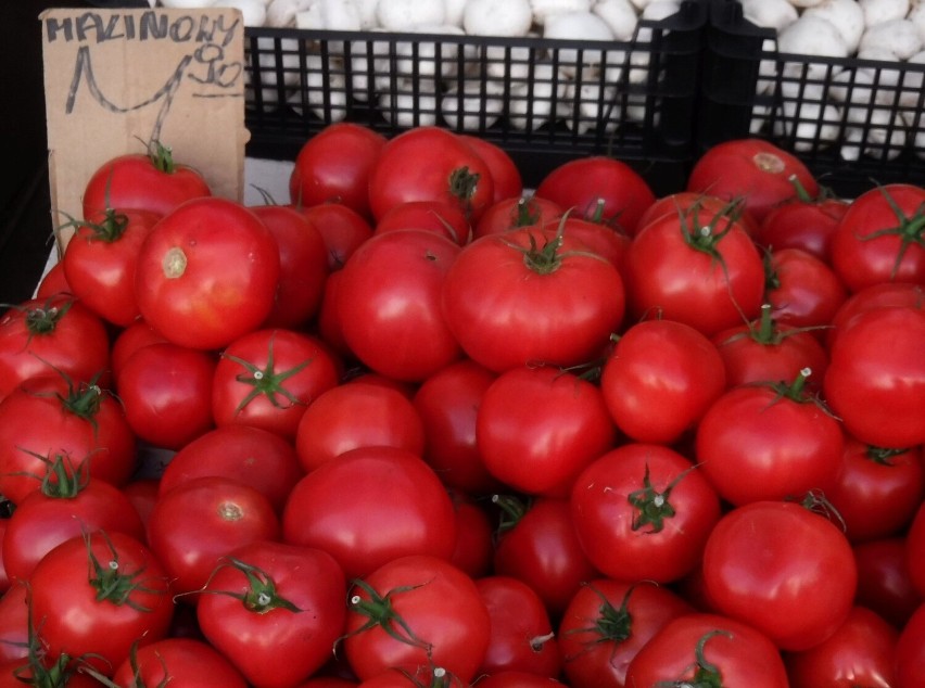 Pomidory 7,90 za kilogram