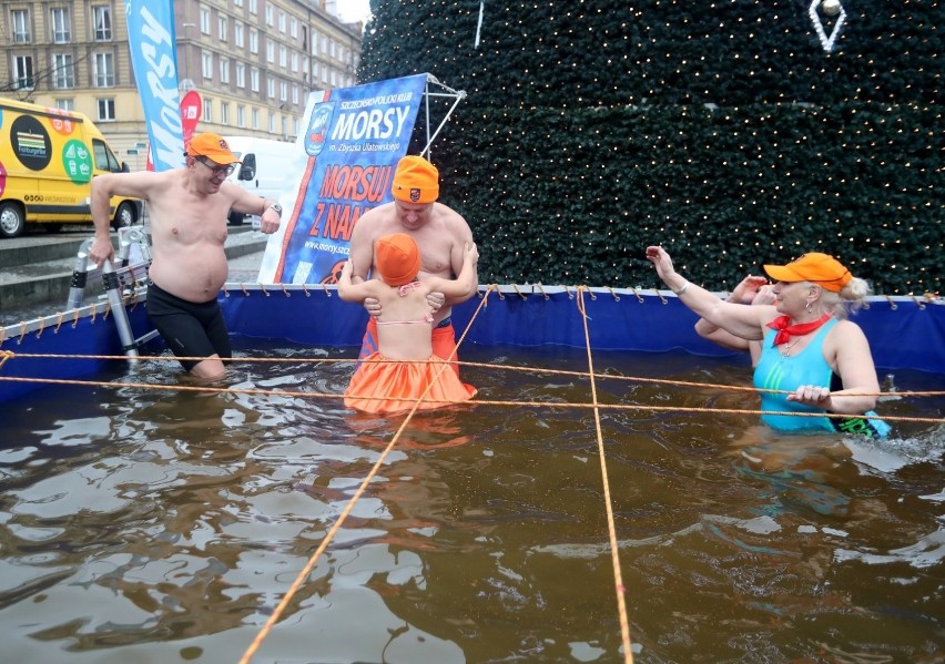 Szczecińskie morsy wykąpały się... w basenie na świątecznym jarmarku [ZDJĘCIA]