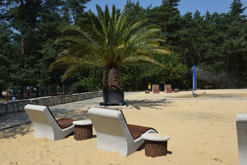 Plaża i palma na ogrodzienieckiej Krępie [ZDJĘCIA]