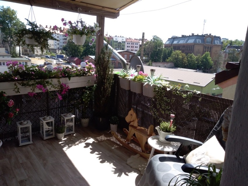 Zgorzelec: Najładniejszy balkon i przydomowy ogród kwiatowy wybrane! [ZDJĘCIA]