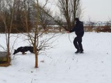 Inowrocław - Policyjne psy "nie zapadają w zimowy sen". Zobaczcie zdjęcia