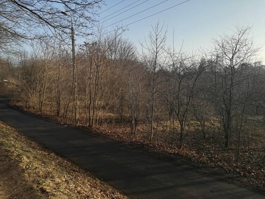 Gniezno. Ulice Cicha i Spokojna pozostaną bez zmian. Bloków nie będzie!