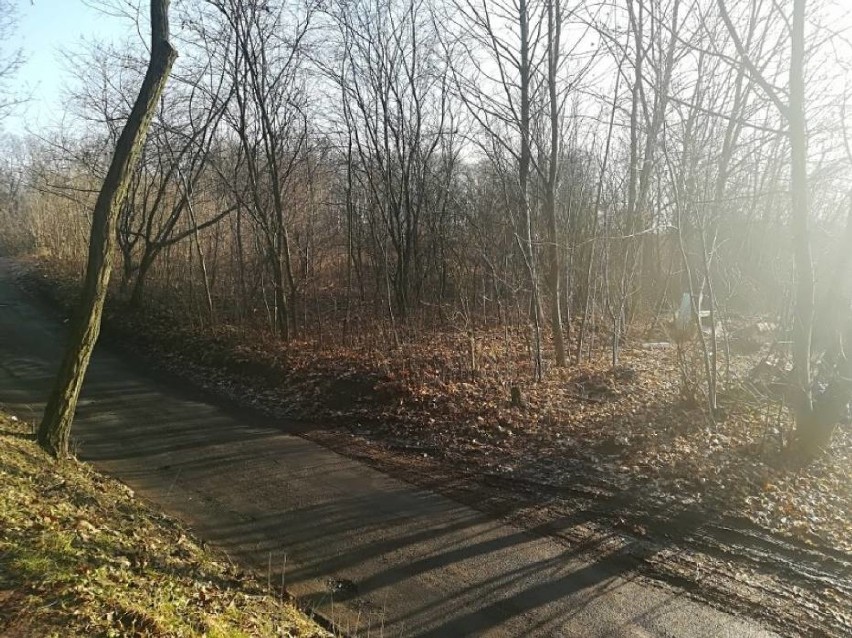 Gniezno. Ulice Cicha i Spokojna pozostaną bez zmian. Bloków nie będzie!