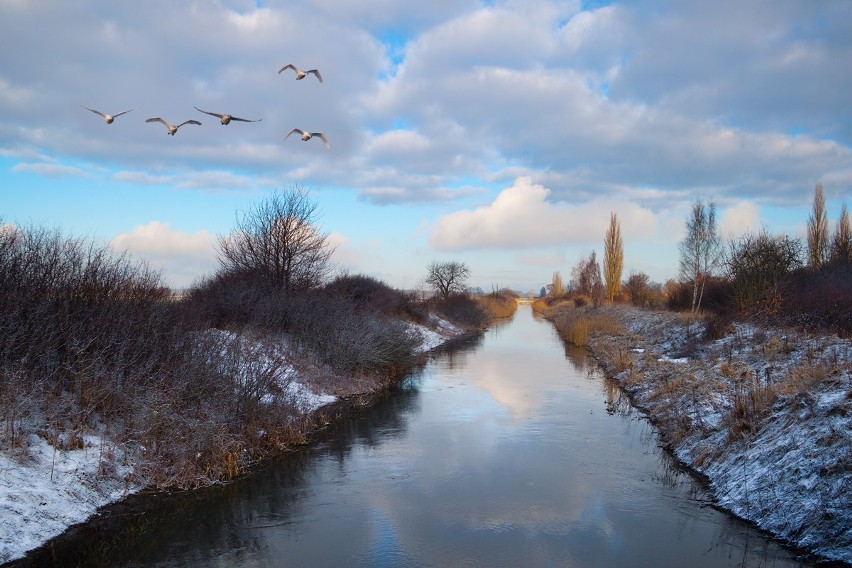 Kopalnica