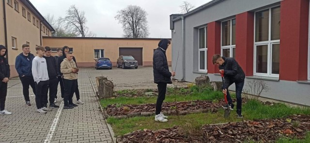 Zielony Dzień w jędrzejowskim "Grocie". Społeczność szkolna sadziła drzewa i krzewy.