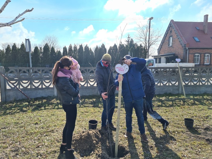 Akcja "Drzewko Życia" w gminie Śmigiel