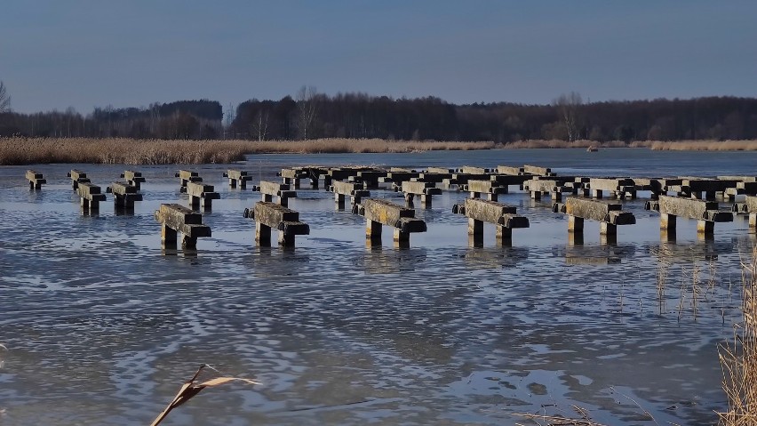 Jezioro Bugaj w Piotrkowie. Zapowiadane zagospodarowanie...