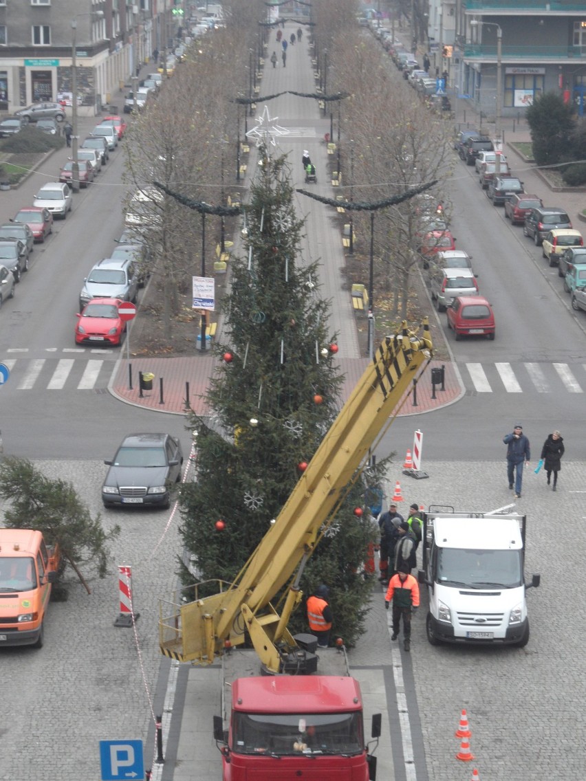 Choinka Sosnowiec: drzewko przed Urzędem Miejskim już stoi [ZDJĘCIA]