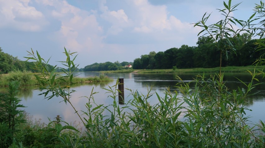 Ciechanów. Spacer wałami nad Odrą to świetny pomysł, zwłaszcza o tej porze roku [ZDJĘCIA]