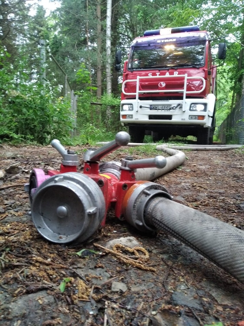 Tragedia pod Warszawą. Znana pisarka zginęła w pożarze domku...