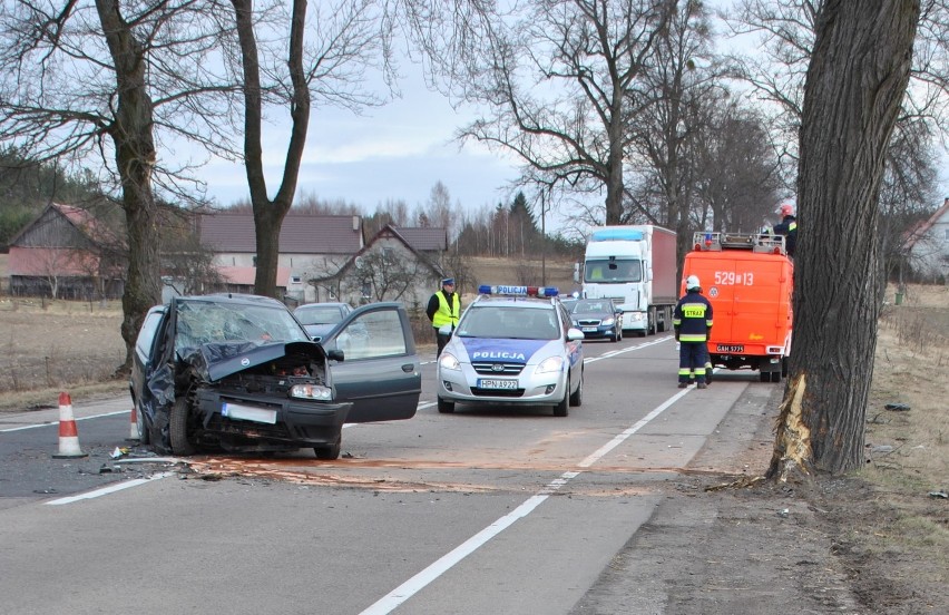 Powiat starogardzki: Auto uderzyło w drzewo. Dwie osoby są ranne