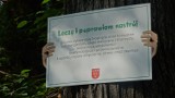 Drzewa w Nysie mówią! Opowiadają mieszkańcom jak ważną pełnią rolę w środowisku