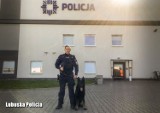 Rajd pijanego kierowcy w Trzemesznie przerwał policjant z Międzyrzecza