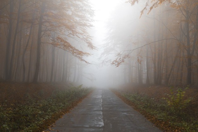 Dziś w Bydgoszczy będzie chłodniej, a na termometrach zobaczymy jedynie 8 stopni.