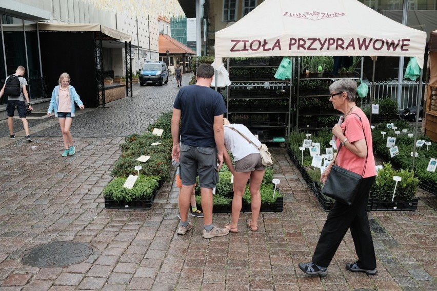 Ruszył Festiwal Dobrego Smaku