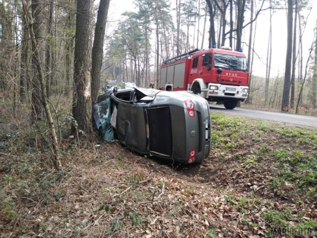 Wypadek pod Niemodlinem. Citroen zepchnął volkswagena do rowu.