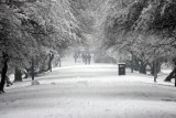 Uwaga! Ostrzeżenie meteorologiczne dla Legnicy i powiatu legnickiego. Intensywne opady śniegu oraz oblodzenie dróg i chodników!