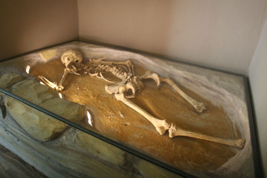 W takiej pozycji znaleziono szkielet wodzisławskiej...
