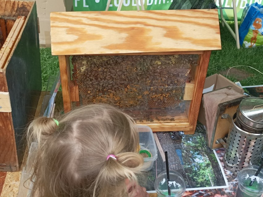 III Światowy Dzień Pszczół w lubińskim zoo rozpoczęty!