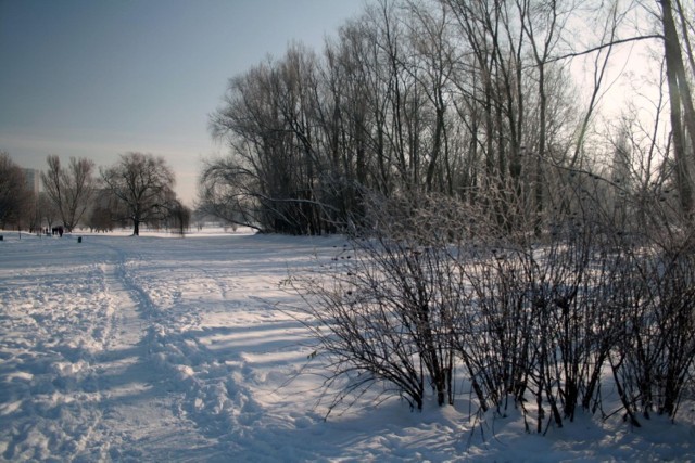 Park Skaryszewski położony na Pradze jest najładniejszym, og&oacute;lniedostępnym parkiem Warszawy. R&oacute;wnież zimą. fot. R. Grzeszczyk