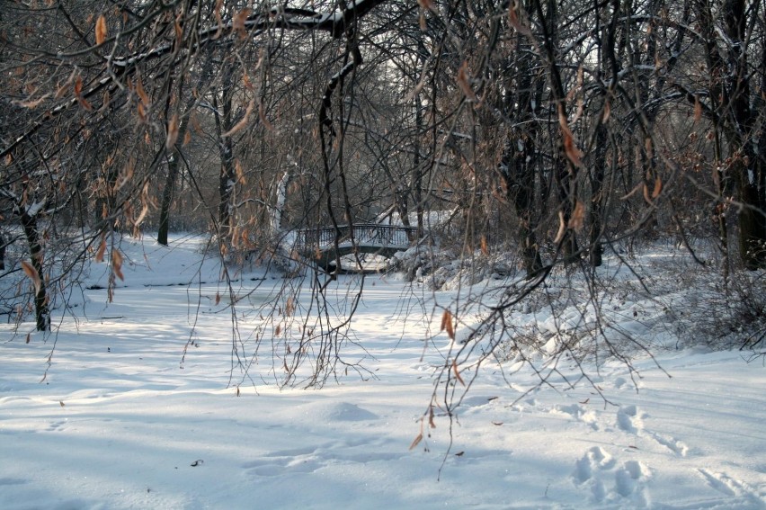 Park jest poprzecinany kanałkami, które łączą liczne...