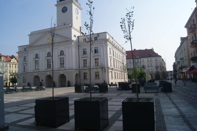 W rankingu wśród miast na prawach powiatu Kalisz był na 33. miejscu