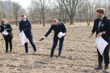 W Częstochowie zasiano dwie łąki antysmogowe. Projekt "Częstozielona" pomoże w walce ze smogiem?