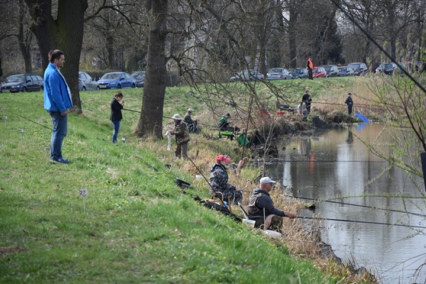 Nowy Dwór Gd. Mistrzostwa Koła PZW nr 6 w wędkarstwie...